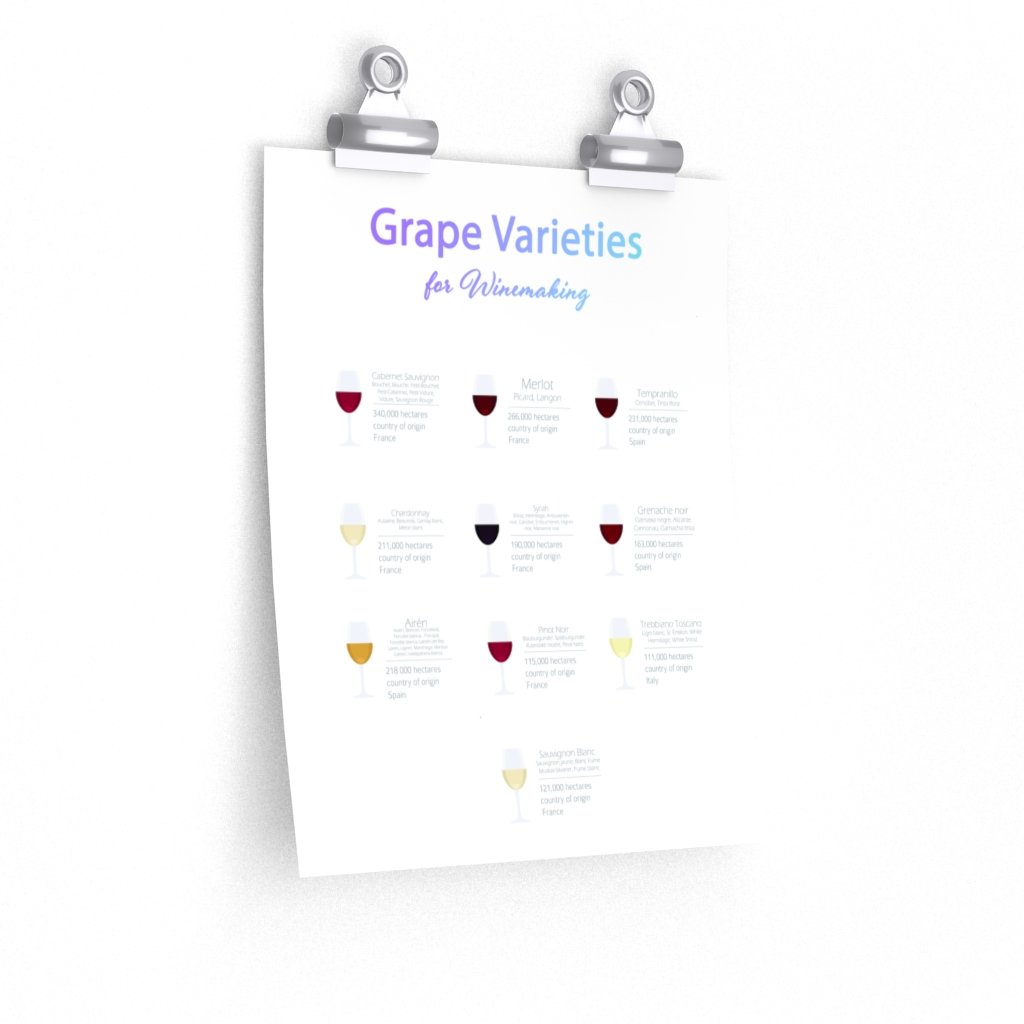 Grape Varieties for Winemaking Poster Room Decor