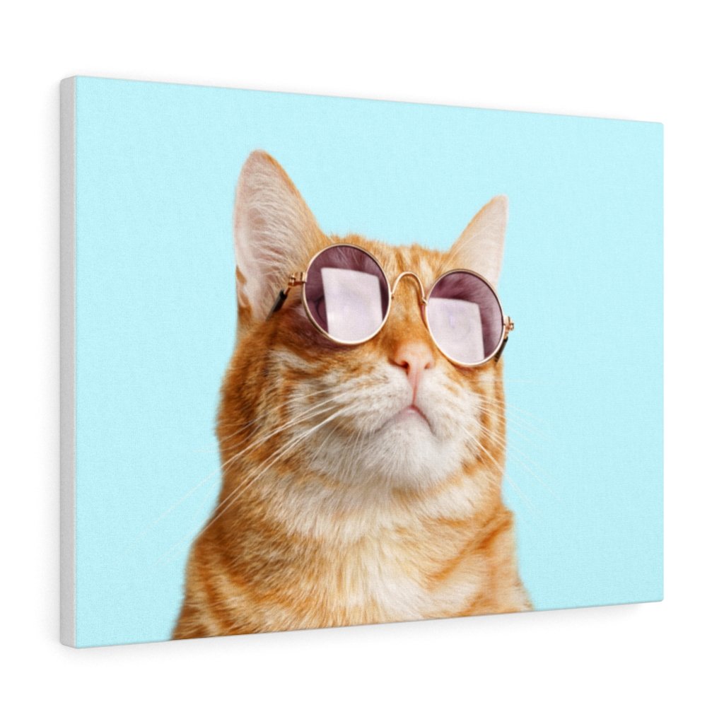 Cat is Alway's Right Canvas Gallery Wraps Wall Art