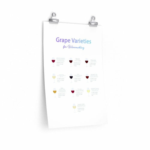 Grape Varieties for Winemaking Poster Room Decor